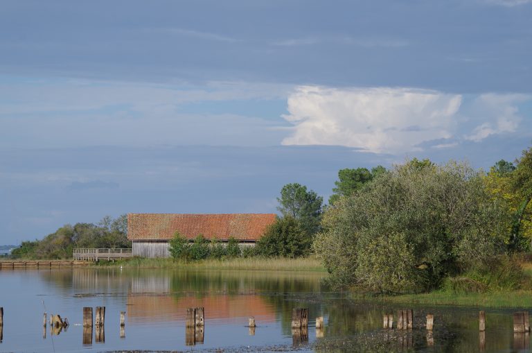 Photo de Balade nature à la croisée des patrimoines