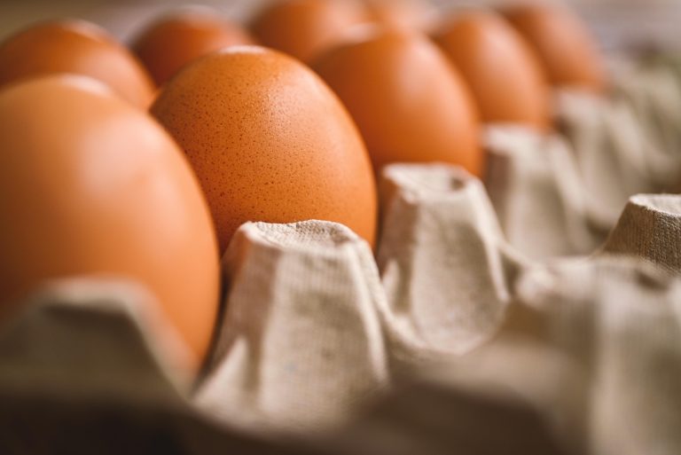 Photo de Collecte nationale banque alimentaire