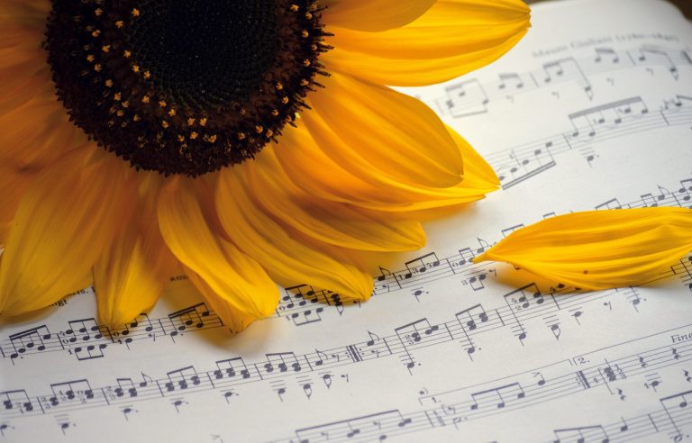 Photo de Fête de la musique