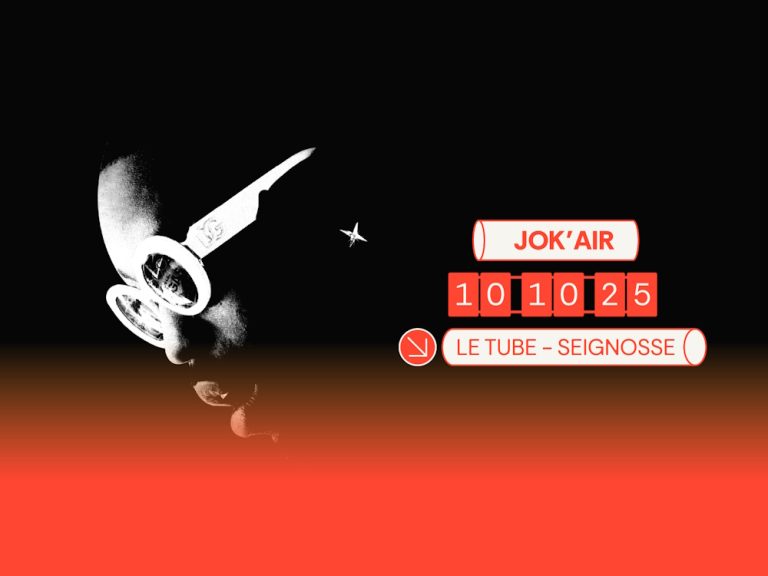 Photo de Concert – Jok’Air