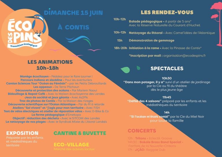Photo de Eco des pins