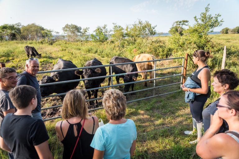 Photo de Découverte des prairies au bord du lac de Parentis
