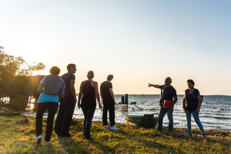 Photo de Découverte des prairies au bord du lac de Sanguinet