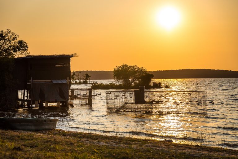 Photo de Découverte des prairies au bord du lac de Parentis