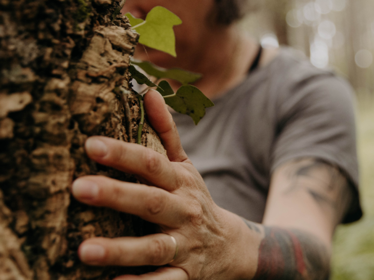 Photo de Bain de forêt