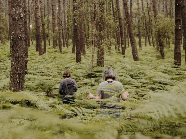 Photo de Bain de forêt