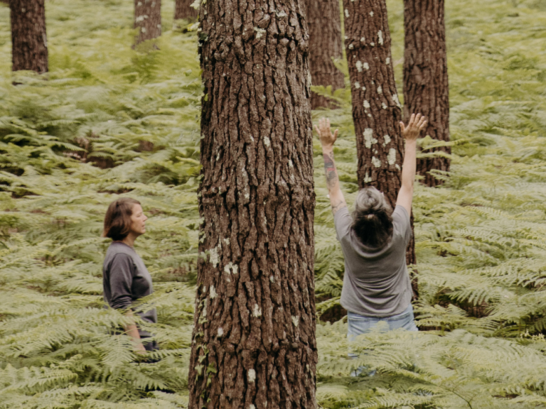 Photo de Bain de forêt