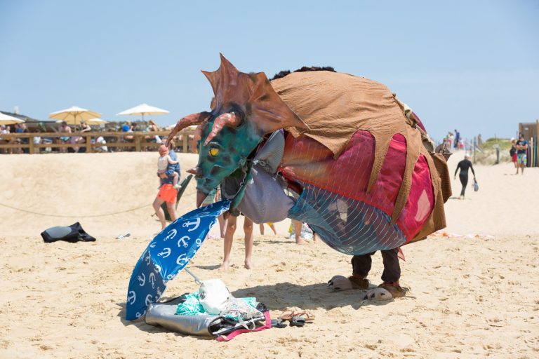 Photo de Le Triselectops aime sa plage