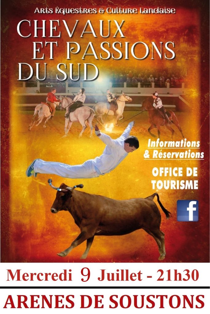 Photo de Spectacle Chevaux et Passions du Sud