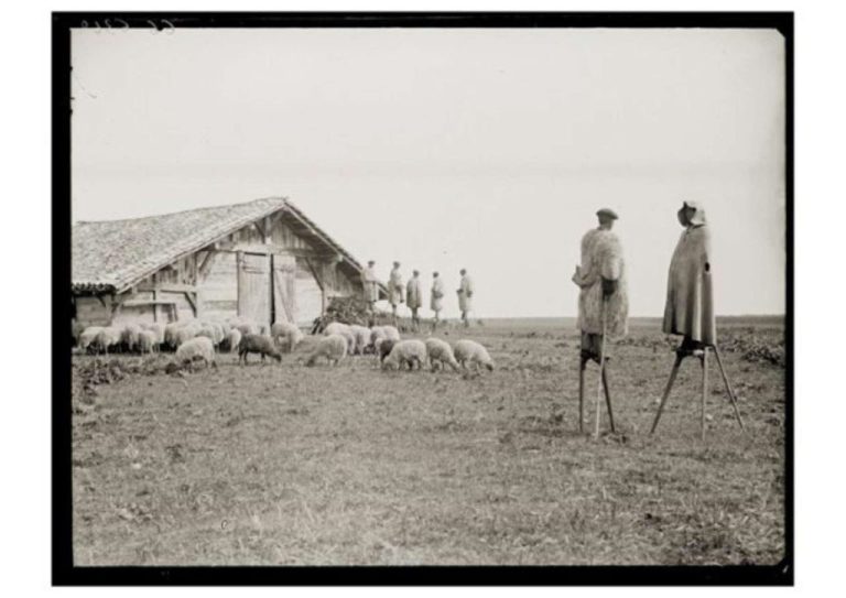 Photo de Exposition à la Médiathèque / Objectif paysage ou les métamorphoses des Landes