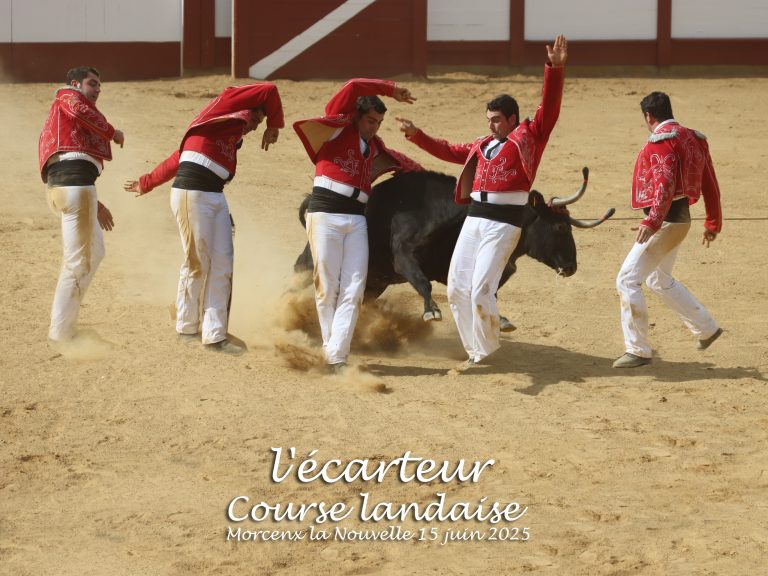 Photo de Fêtes locales – Morcenx-Bourg