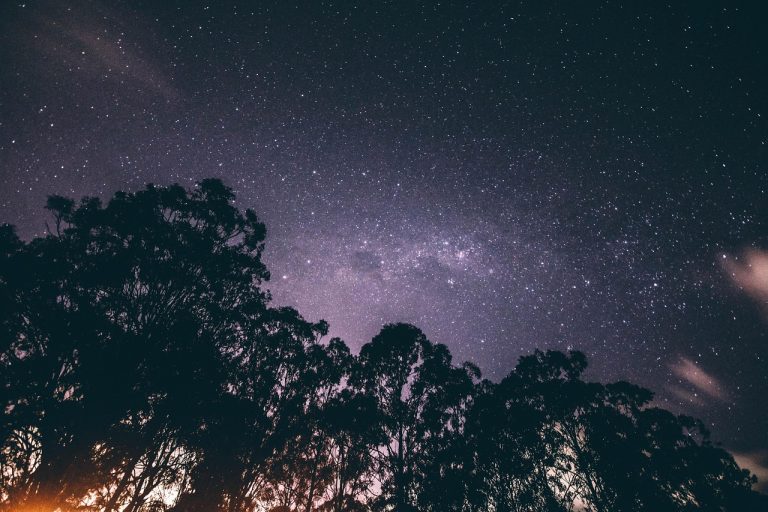 Photo de Nuit des étoiles au Musée de l’Hydraviation !