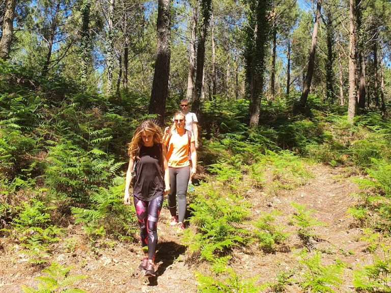 Photo de Bain de forêt