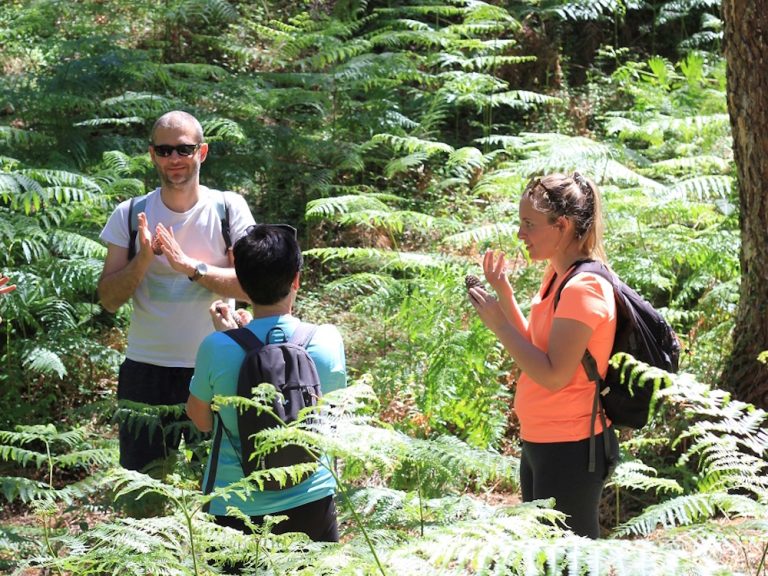 Photo de Bain de forêt