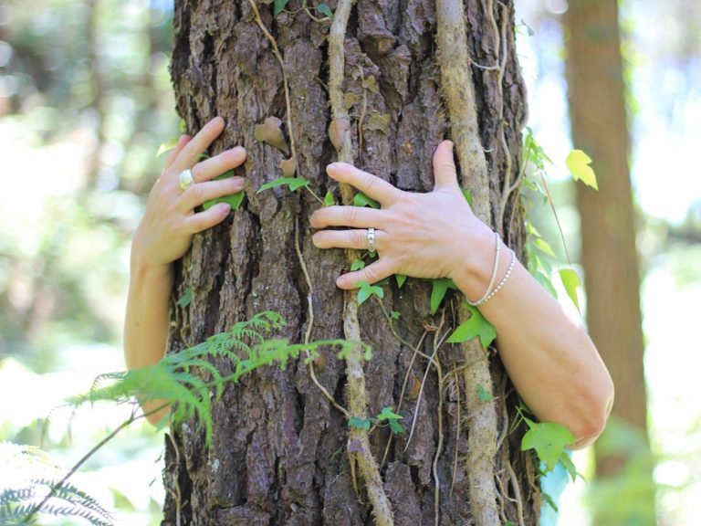 Photo de Bain de forêt