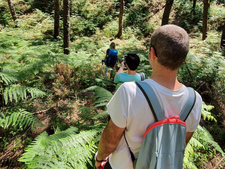 Photo de Bain de forêt