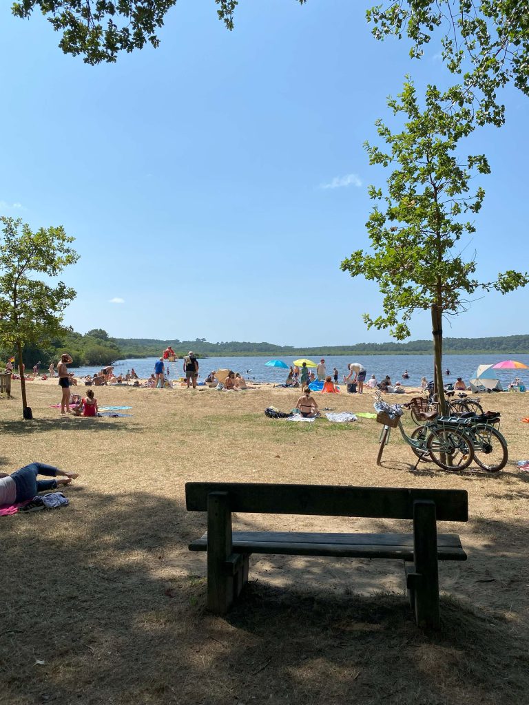 Photo de Plage du lac de Léon