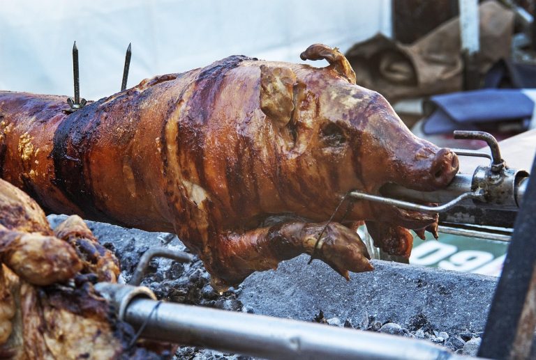 Photo de Fête au Lac et cochon de lait