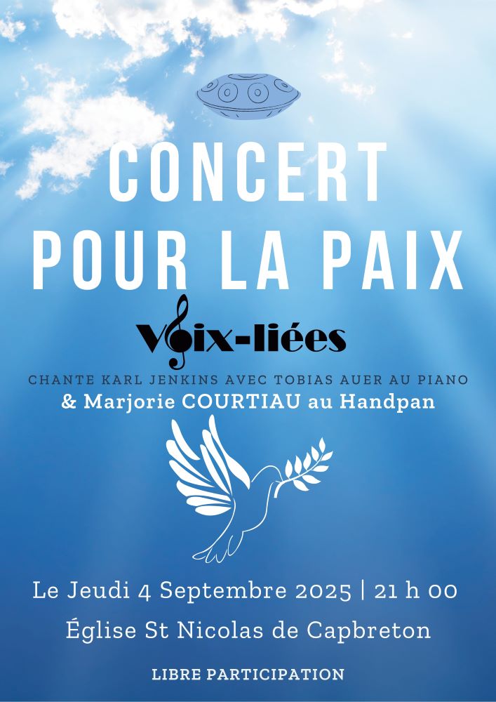 Photo de Concert « Voix-Liées » et handpan
