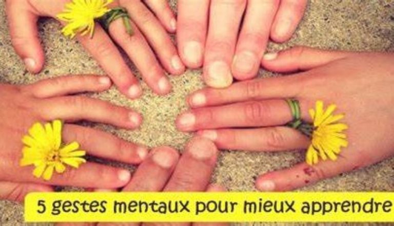 Photo de Conférence : Des intelligences multiples