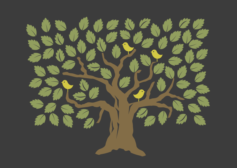 Photo de Apéro -Arbre à palabre