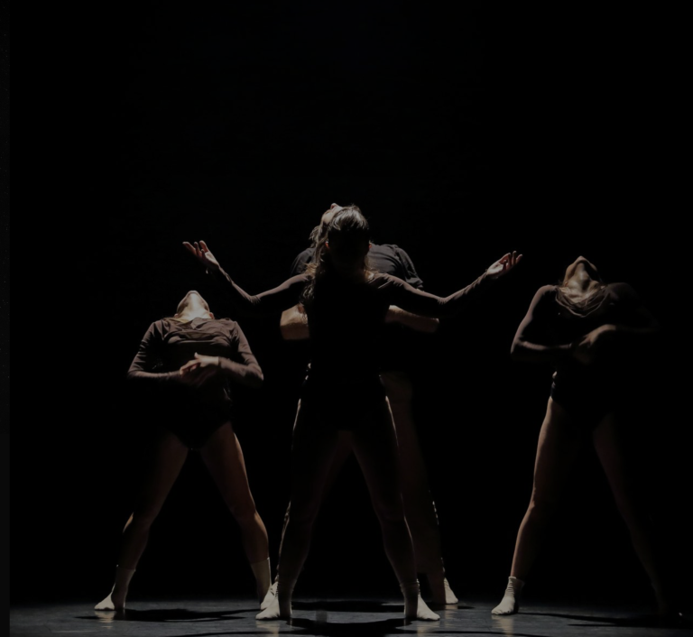 Photo de Le Mois de la danse – Spectacle Le Lac des Cygnes de BM Compagnie