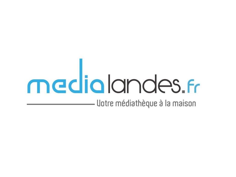 Photo de Atelier : Présentation de la bibliothèque numérique Médialandes
