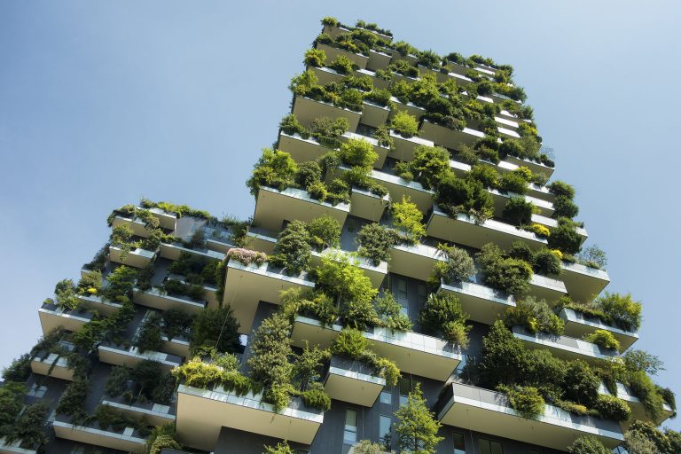 Photo de Micro-Folie « Drôles d’architectures végétales »