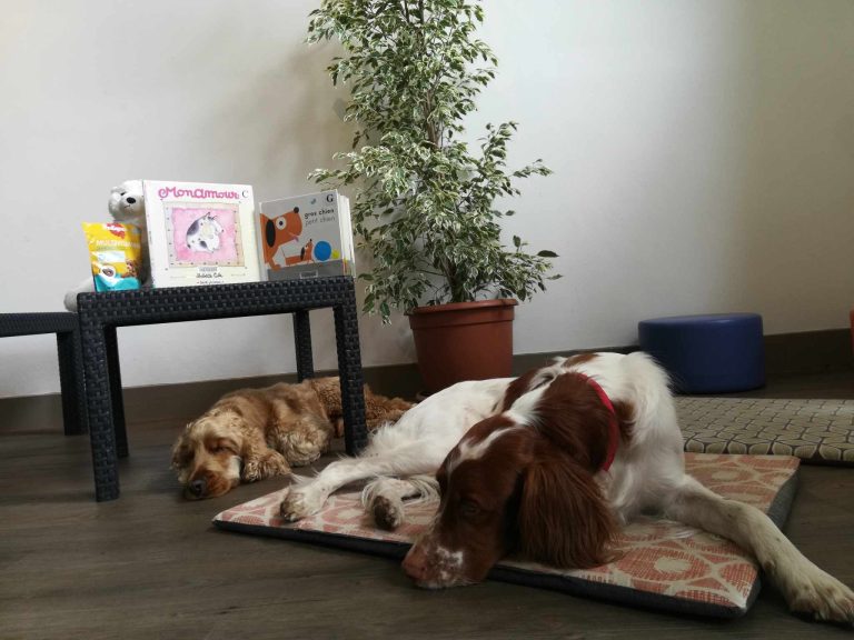 Photo de Lire avec les chiens