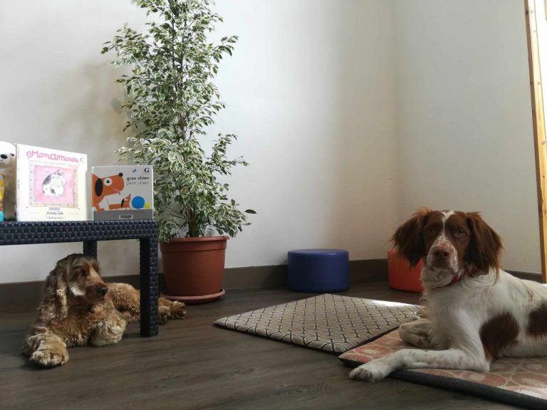 Photo de Lire avec les chiens
