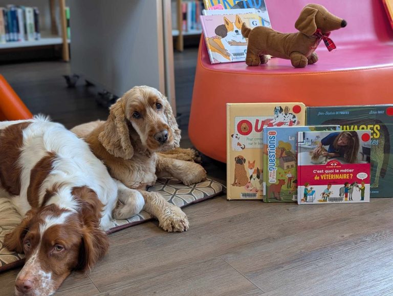 Photo de Lire avec les chiens