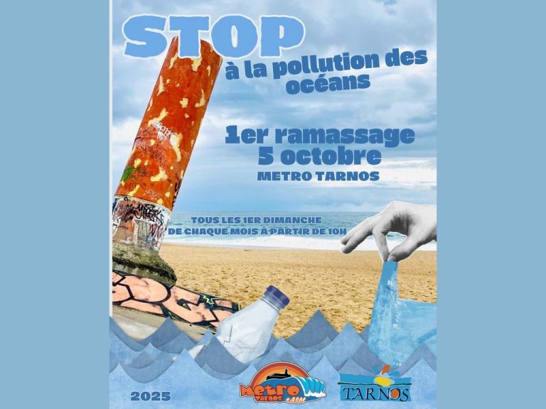 Photo de Nettoyage de plage de Noël