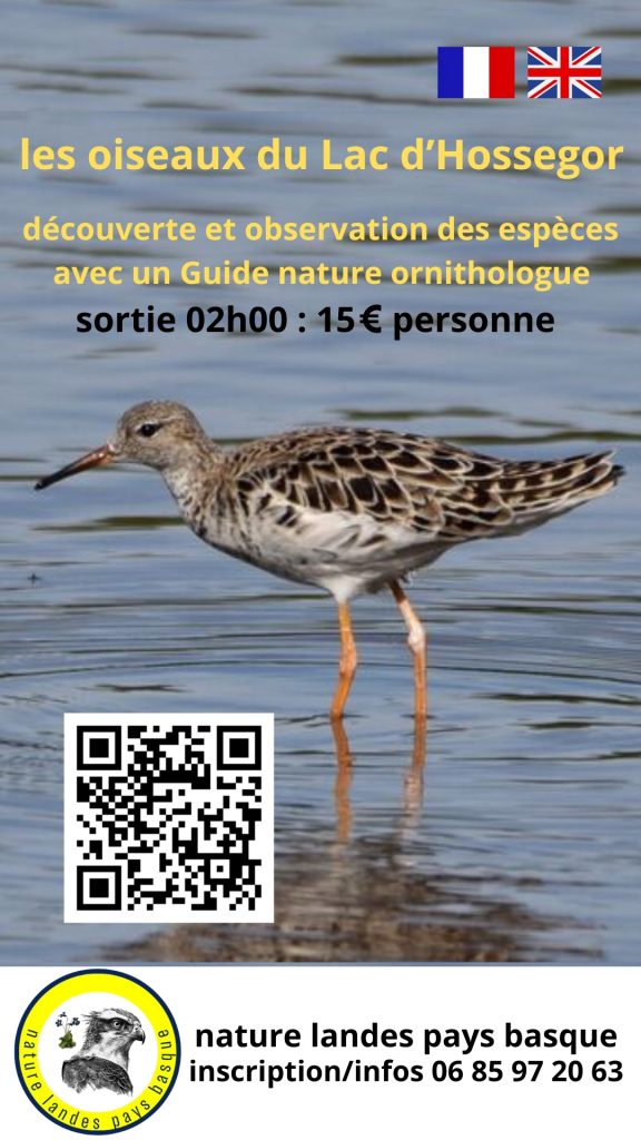 Photo de Les oiseaux du lac d’Hossegor