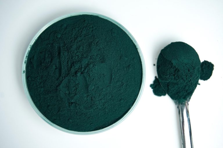 Photo de Fête de la spiruline