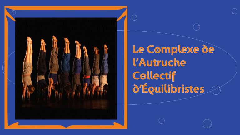 Photo de Le complexe de l’autruche – Collectif d’équilibristes