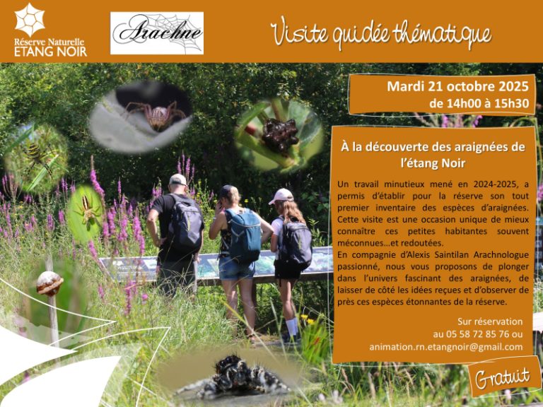 Photo de Découverte – Les araignées de l’Etang Noir