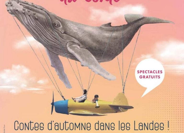 Photo de Ambassade du conte : Calis