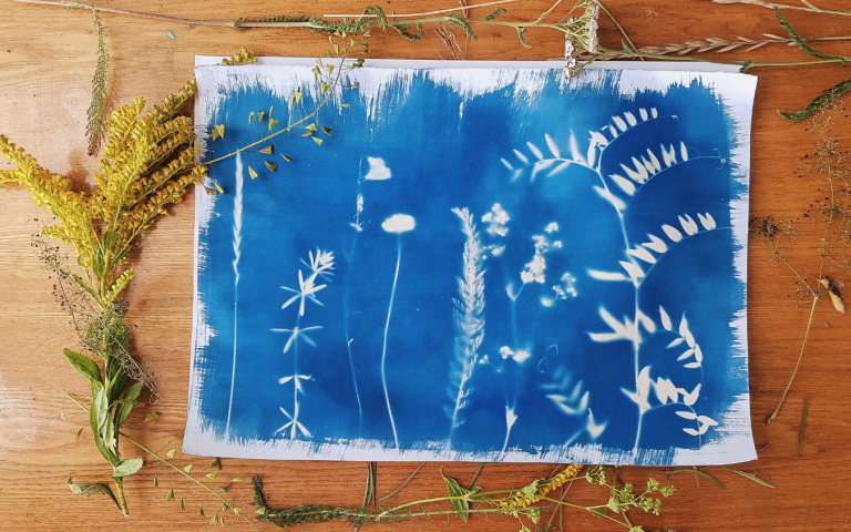 Photo de Atelier créatif – Cyanotype