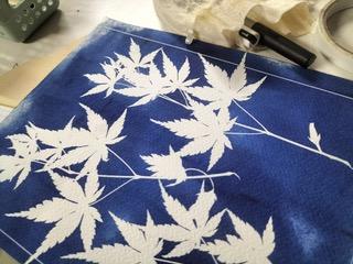 Photo de Atelier créatif – Cyanotype