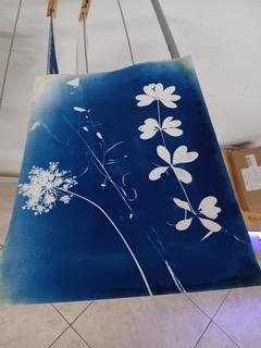 Photo de Atelier créatif – Cyanotype