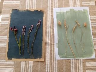 Photo de Atelier créatif – Cyanotype