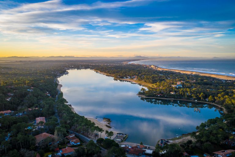 Photo de Les oiseaux du lac d’Hossegor