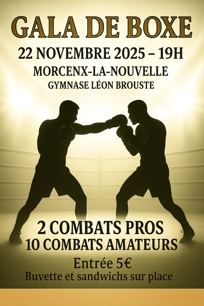 Photo de Gala de boxe