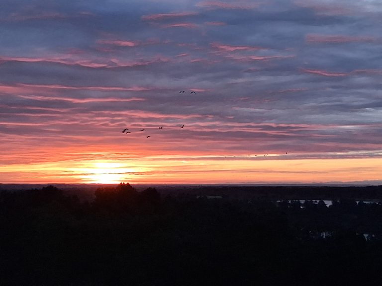 Photo de Annulé – Les grues gourmandes en Pays Morcenais – Le coucher