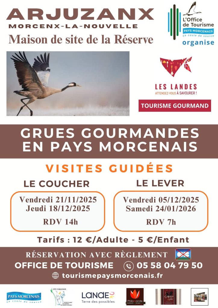 Photo de Annulé – Les grues gourmandes en Pays Morcenais – Le coucher