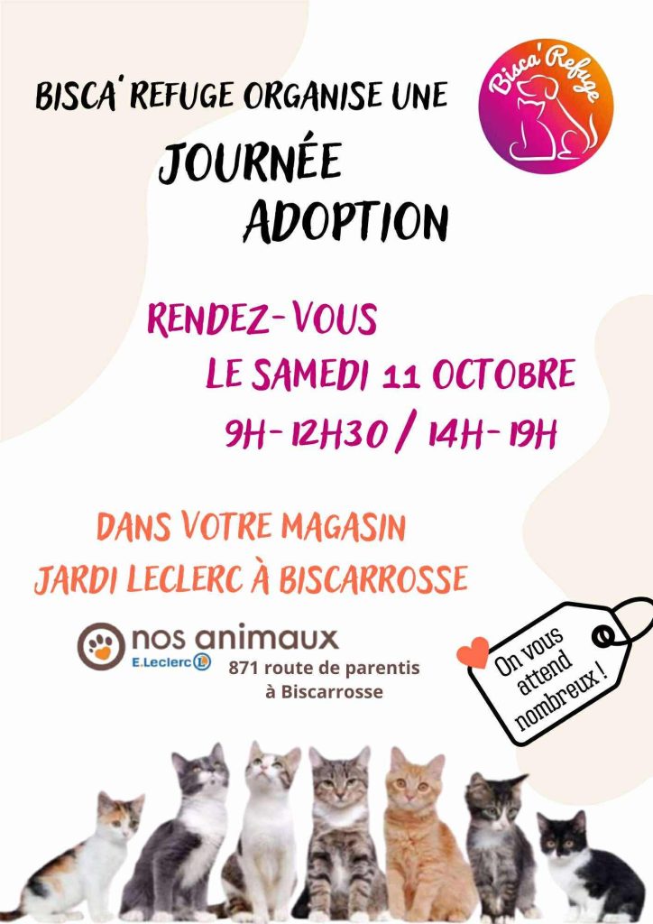 Photo de Journée adoptions