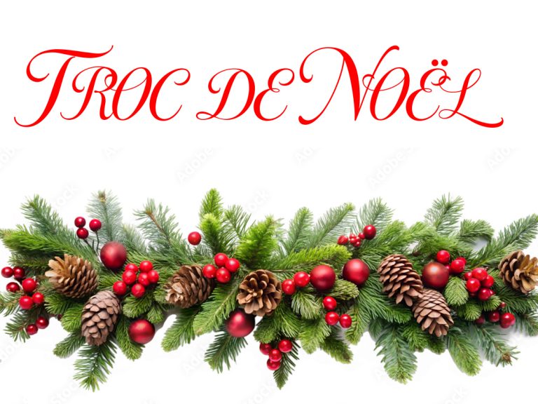 Photo de Troc de Noël