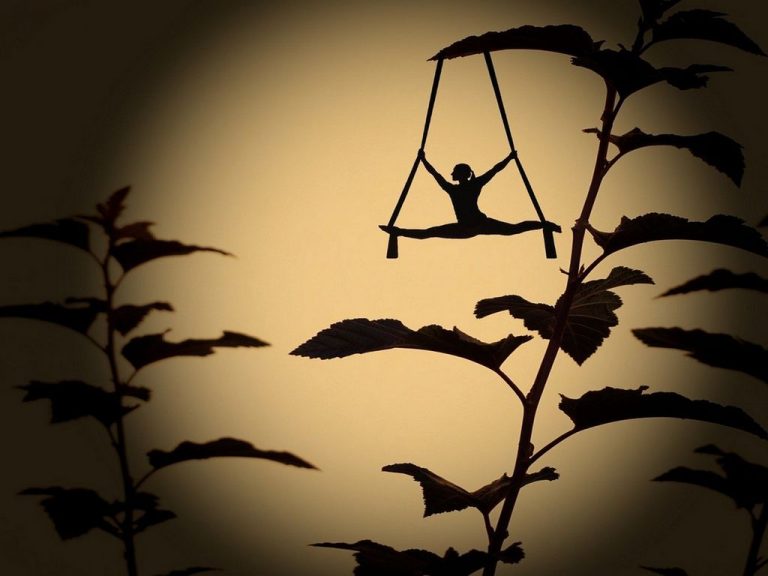 Photo de Théâtre d’ombres “Le Rouge-gorge”