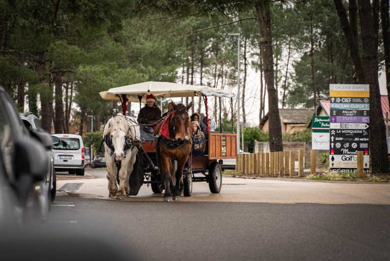 Photo de Calèche, vin chaud, atelier maquillage & goûter ● Noël 2025