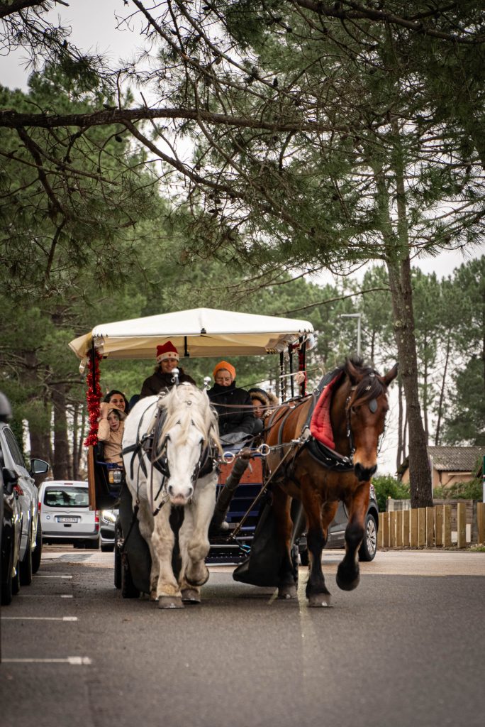 Photo de La calèche de Noël ● Noël 2025